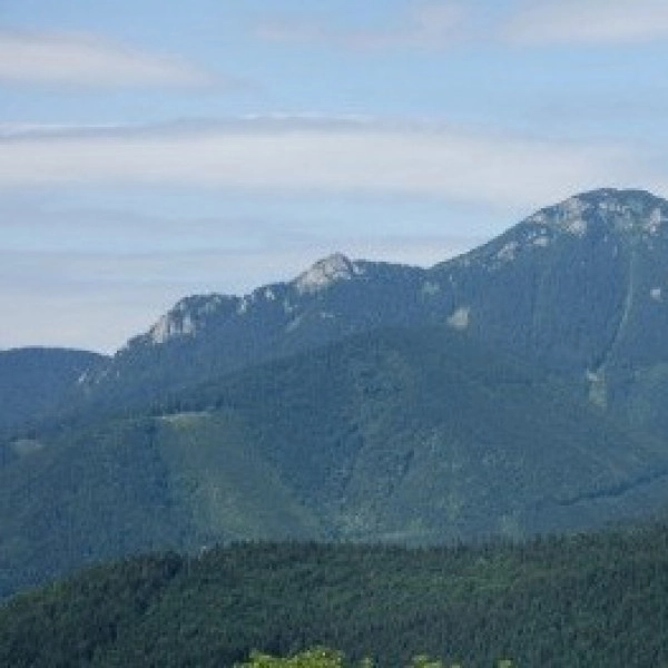 Velký Choč 1611 m.n.m.-najvyšší vrch chočských vrchov 