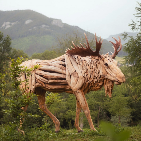 woodlandia2nz52699-2000x1335.jpg