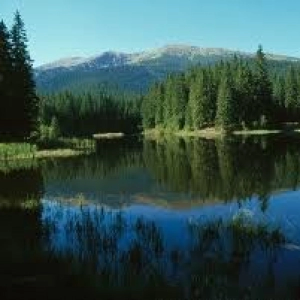 vrbicke-pleso.jpg