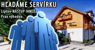 servirka.jpg